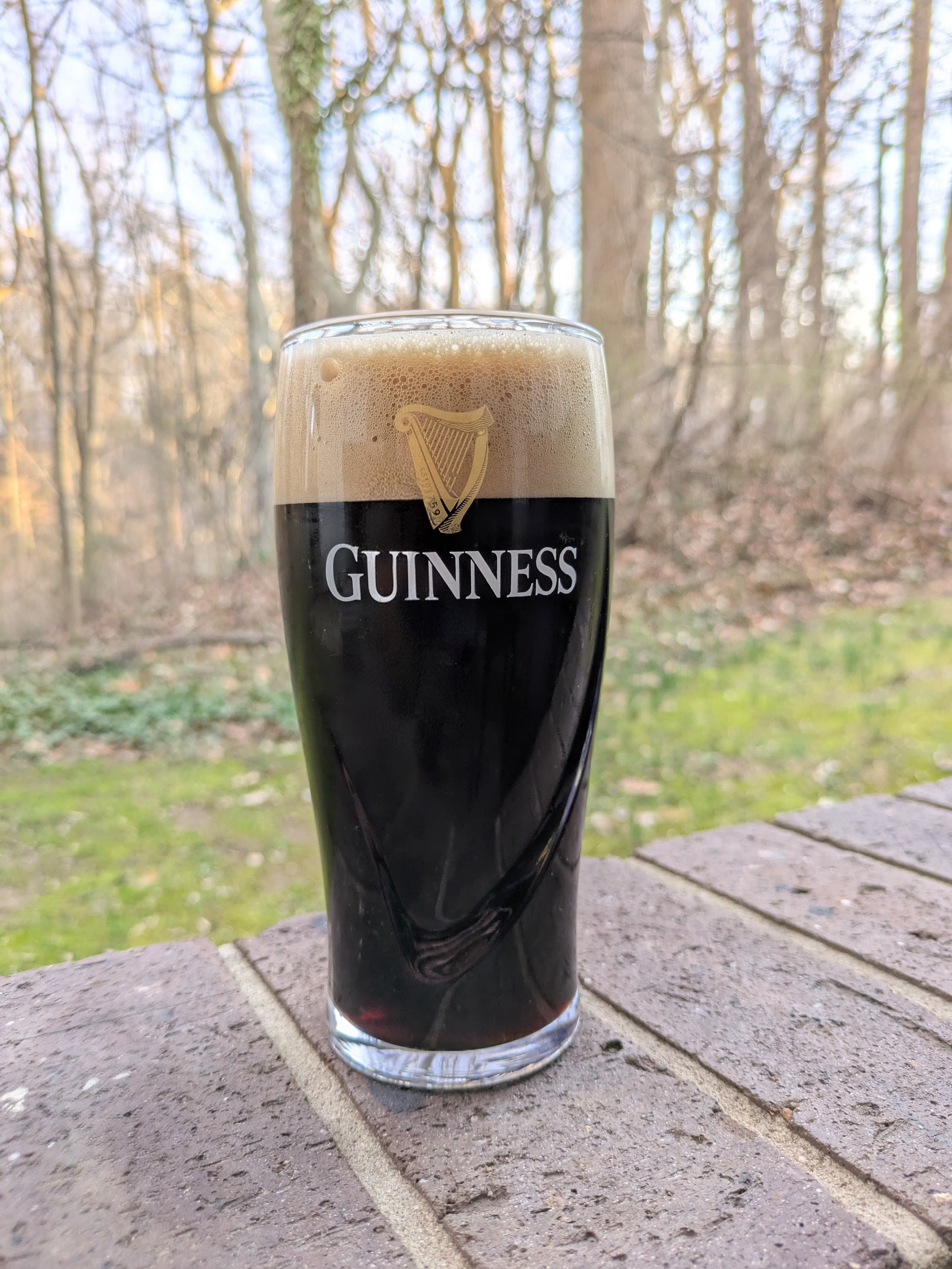 Black beer in a Guinness Glass