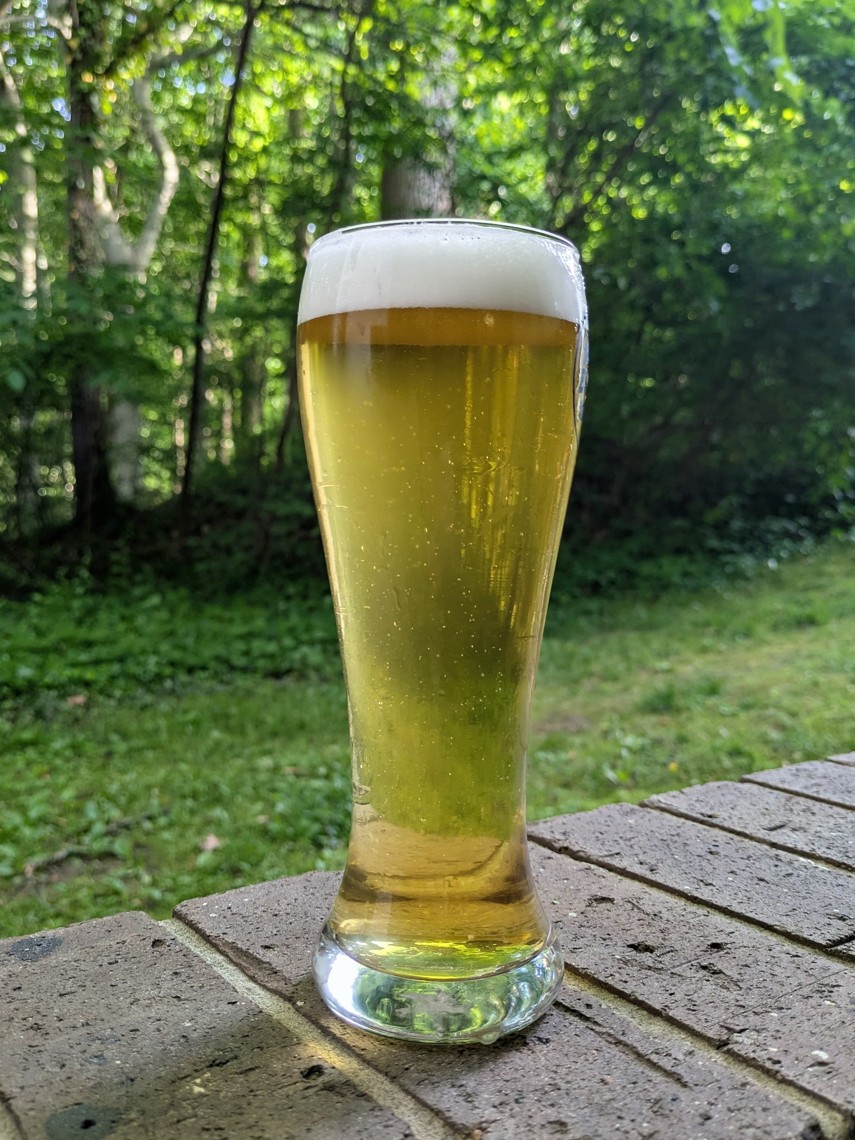 Pale yellow beer in a tall glass